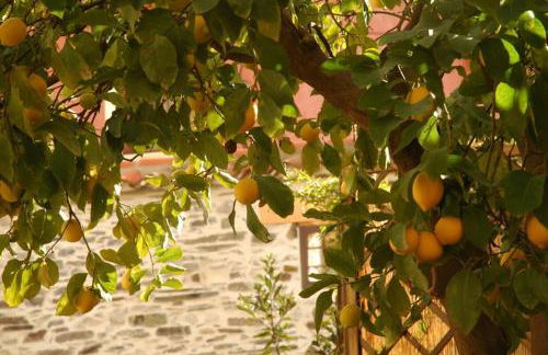 Casa Rural El Arco - Foto 31