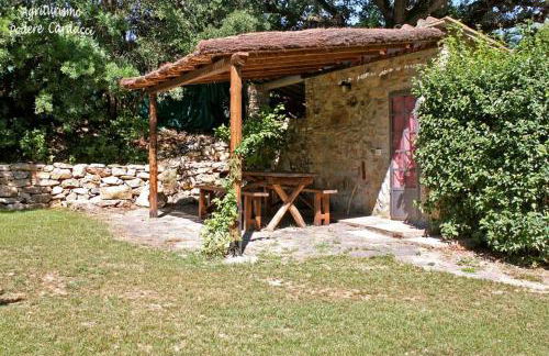 Agriturismo Podere Carducci - Foto 8