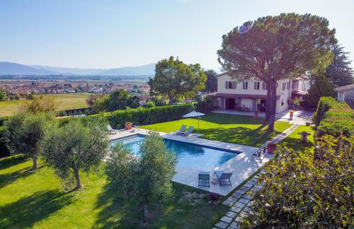 Il Fico e La Civetta - Foto 1