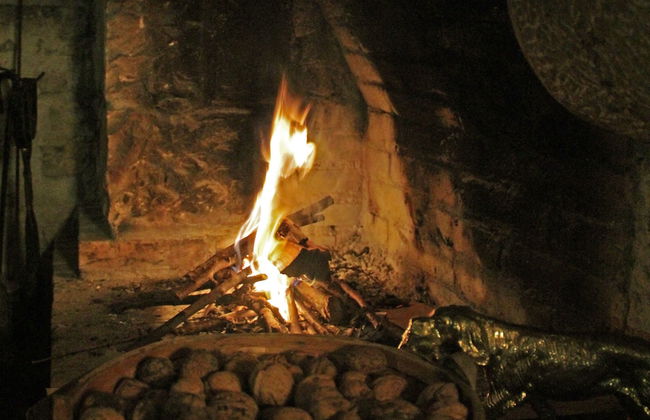 Trisqueles y Buganvillas - Photo 38