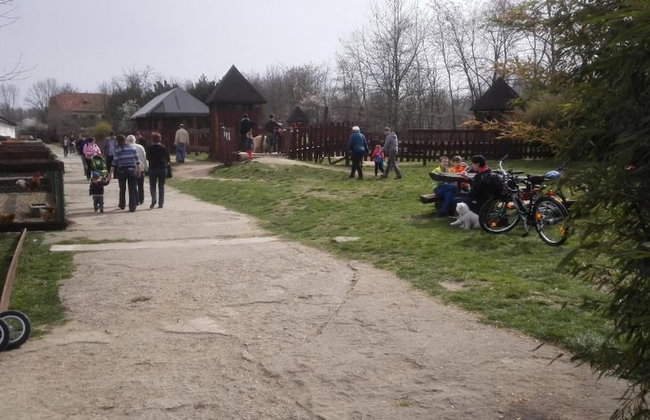Zoopark Zelčín - Foto 27
