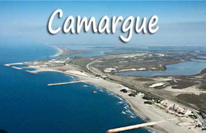 Un Nid en Provence, Jardin, 2P - Foto 16