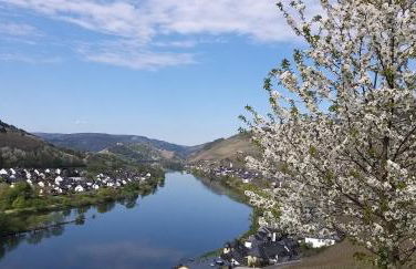 Mosel-Appartements Nehren - Foto 49