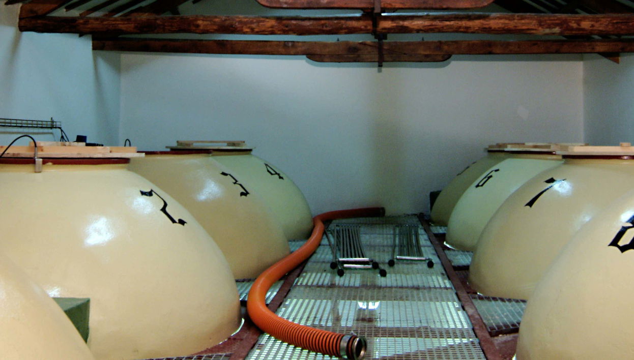 Visite de la cave à vin Campos de Dulcinea