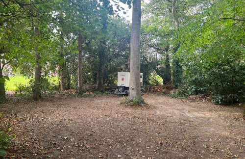 Woodlands By The Sea Cottage - Foto 28