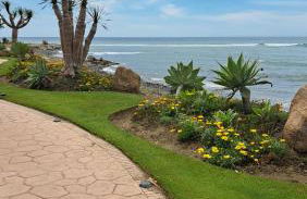 Hello Cosmo - Photo 34