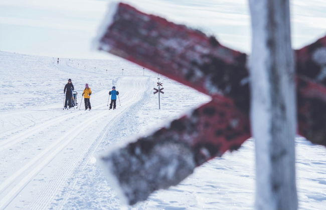 Tännäskröket - Foto 51