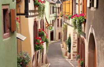 LA TÊTE AU SOLEIL - Foto 19