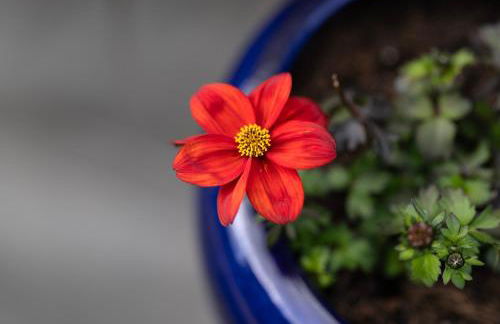 Barclay’s But n Ben - Foto 49