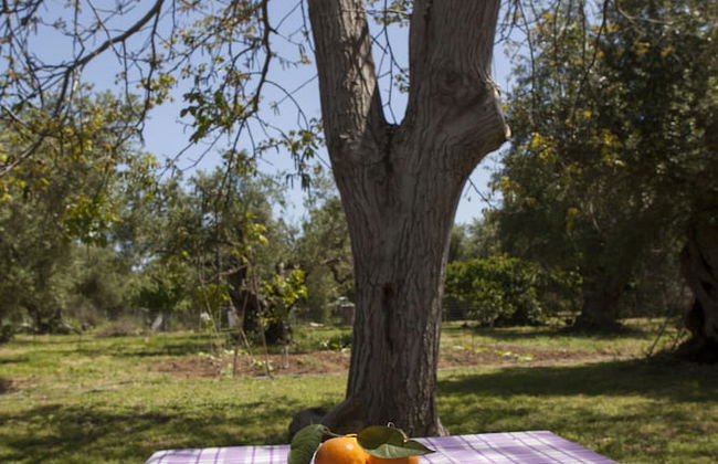 Horizonte Cretan Cottage - Foto 30