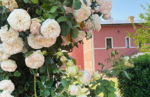 Agriturismo La Vita è Bella - Foto 22