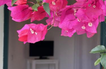 La Carcara - Foto 55