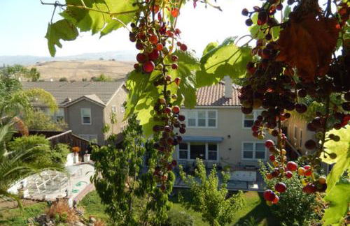 Beautiful Home in Quiet Area - Foto 1