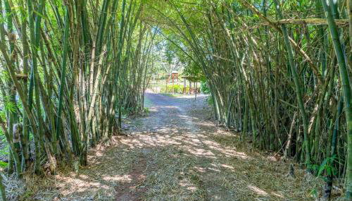 Sítio Lumiar Chã Grande Paraíso Ecológico - Foto 3