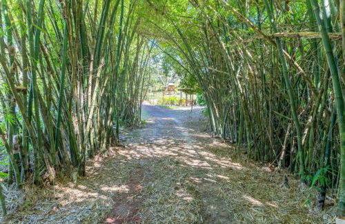 Sítio Lumiar Chã Grande Paraíso Ecológico - Foto 3