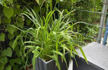 Sonnige Wohnung im Zentrum mit Terrasse u Tiefgarage - Netflix & Prime - Foto 17