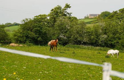 Tranquil countryside cottage for two - Foto 25