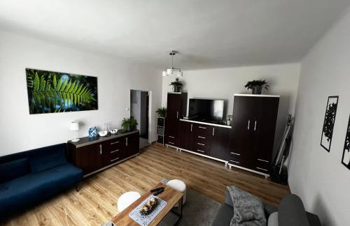 Apartament Paprotka - Foto 1