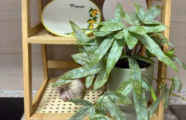 Casa el Suenos Villa Martín - Foto 8