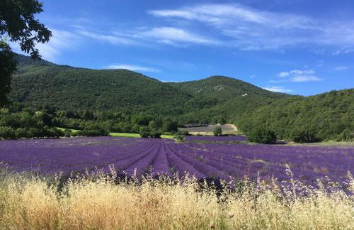 Ecolodge Au fil de l'eau, avec piscine intérieure et parc arboré - Foto 23