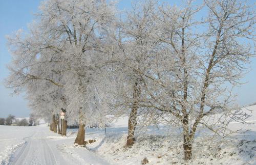 Ferienwohnung Bockelt - Foto 13