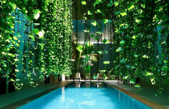 Palmarena Rooms and Residences - Long Stay Comfort with Parking, Sauna, Gym and Pool (Steps from 5th Avenue) - Foto 31