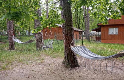 Ośrodek Wypoczynkowy Leśny Zakątek - Foto 25