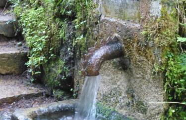 Kleines Refugium - Foto 23