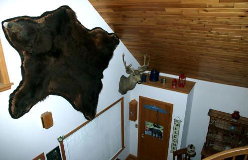 Pet-Friendly Cabin Getaway for Groups near Aspen, Colorado - Photo 11