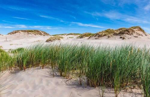 Widać Wydmy - Foto 63