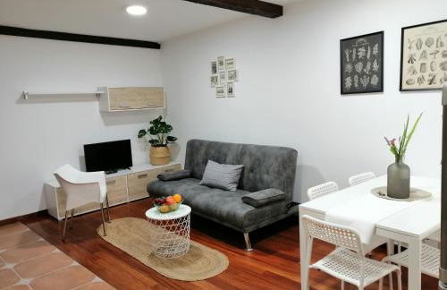 SE@SE a 100m.Catedral. - Foto 12