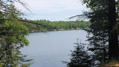 The Hideout - Cute and Quiet Rustic Cabin! - Foto 5