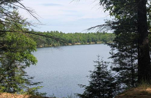 The Hideout - Cute and Quiet Rustic Cabin! - Foto 5