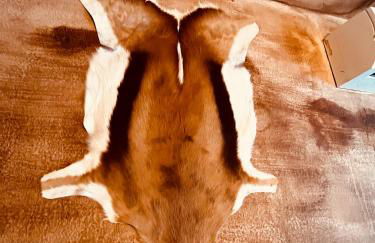 Western Apartments Sierra de Madrid - Foto 13