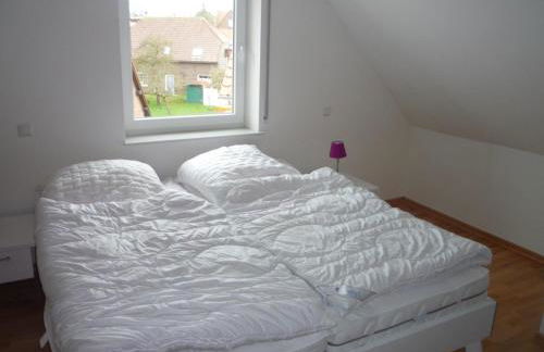 Borkumperle - Foto 9