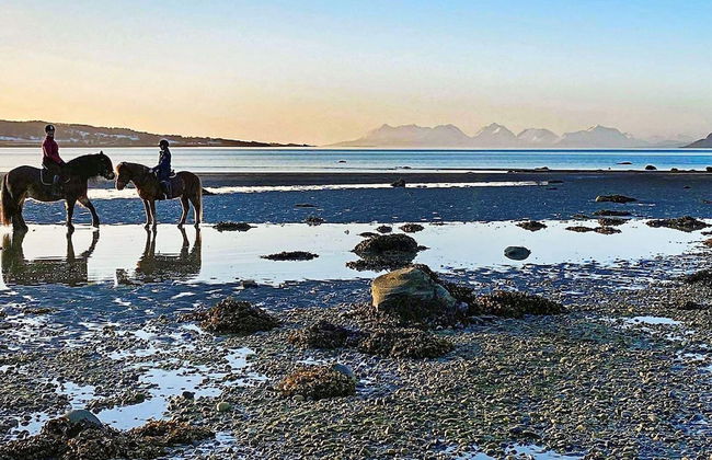 6 Person Holiday Home in Hamnvik - Foto 52