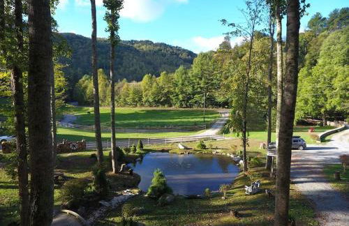 Petting Zoo! Hot Tub, 15 acres, stream & Romance! - Foto 24