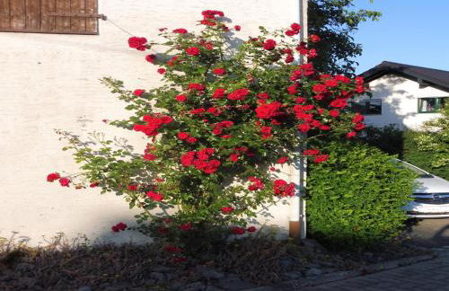 Apartment With Terrace and Pool in the Garden - Foto 46