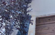 CASA VACANZA ANNA FRANK - CAMPOMARINO di MARUGGIO (TA) - Foto 38