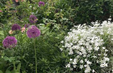 Simpers Drift, Great Glemham - Foto 35