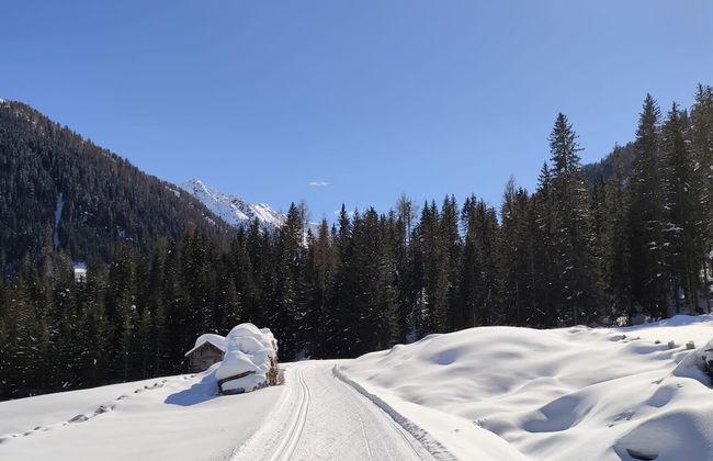 Mascherhof - Foto 50