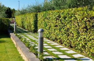 Belvedere Home - Foto 55