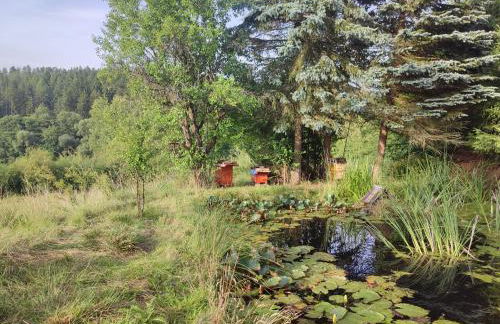 FerienHaus "Grimberg" & großes Grundstück - Photo 37