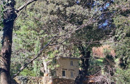 Hameau de la Suyère - Foto 4