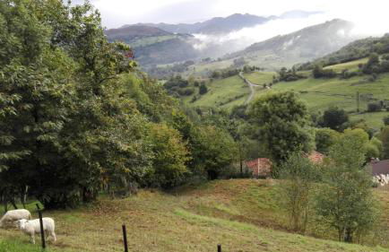 Apartamentos El Llanin - Foto 68