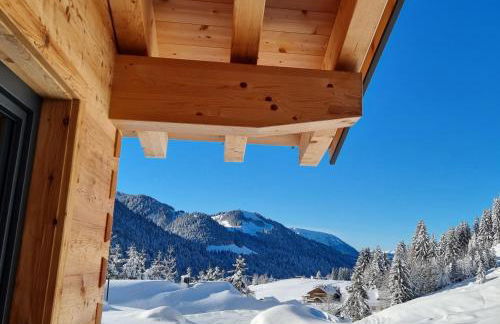 Alpenflair-Chalets-Balderschwang - Foto 17