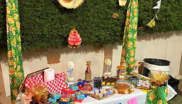 Chácara Santa Rita - Photo 2