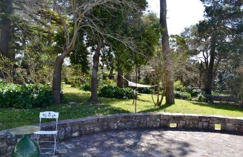 Masseria Trulli&Stelle B&B - Foto 34