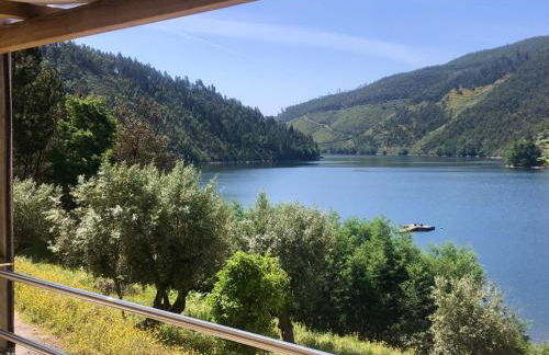 Canto do Zêzere, Sertã, Dornes, Castelo do Bode - Foto 30