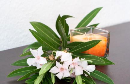 Casa L'Alzoni - Foto 6